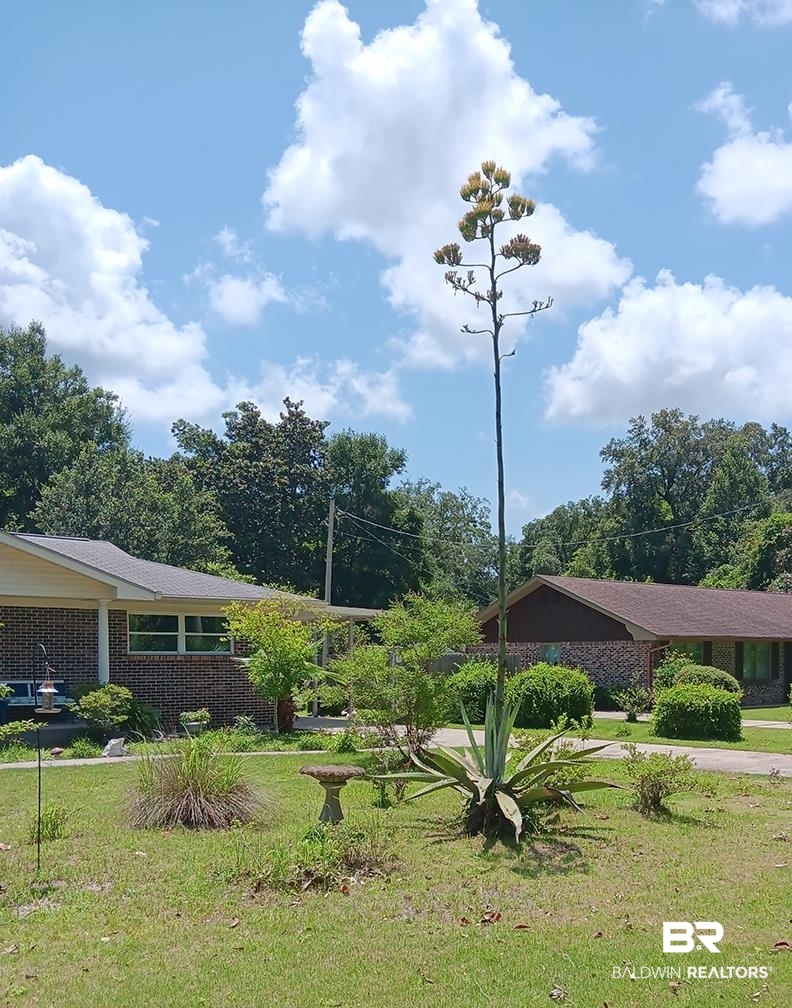 7410 Helton Drive Foley, AL 36535 - Photo 4 of 72