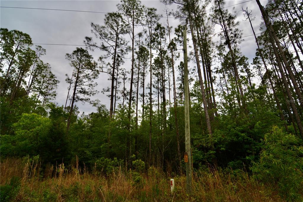 Sweet Gum Road Glen St. Mary, FL 32040 - Photo 29 of 44