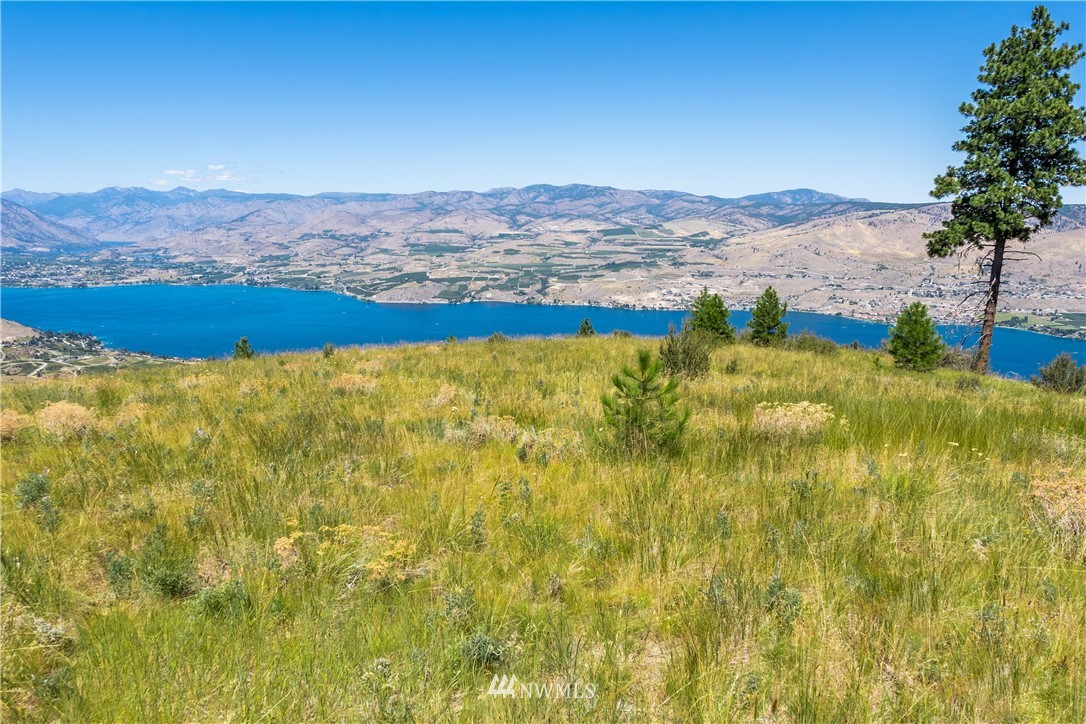 244 Hawks Ridge Road Chelan, WA 98816 - Photo 1 of 25 Gallery Image 1
