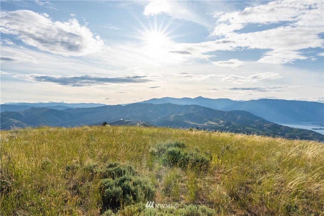 244 Hawks Ridge Road Chelan, WA 98816 - Photo 11 of 25 Gallery Image 11