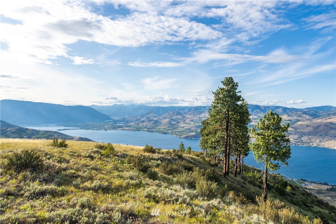 244 Hawks Ridge Road Chelan, WA 98816 - Photo 12 of 25 Gallery Image 12
