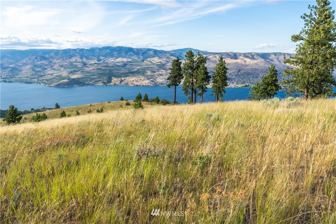 244 Hawks Ridge Road Chelan, WA 98816 - Photo 14 of 25 Gallery Image 14