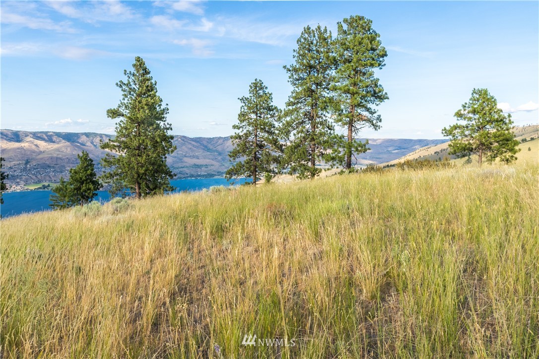 244 Hawks Ridge Road Chelan, WA 98816 - Photo 15 of 25 Gallery Image 15