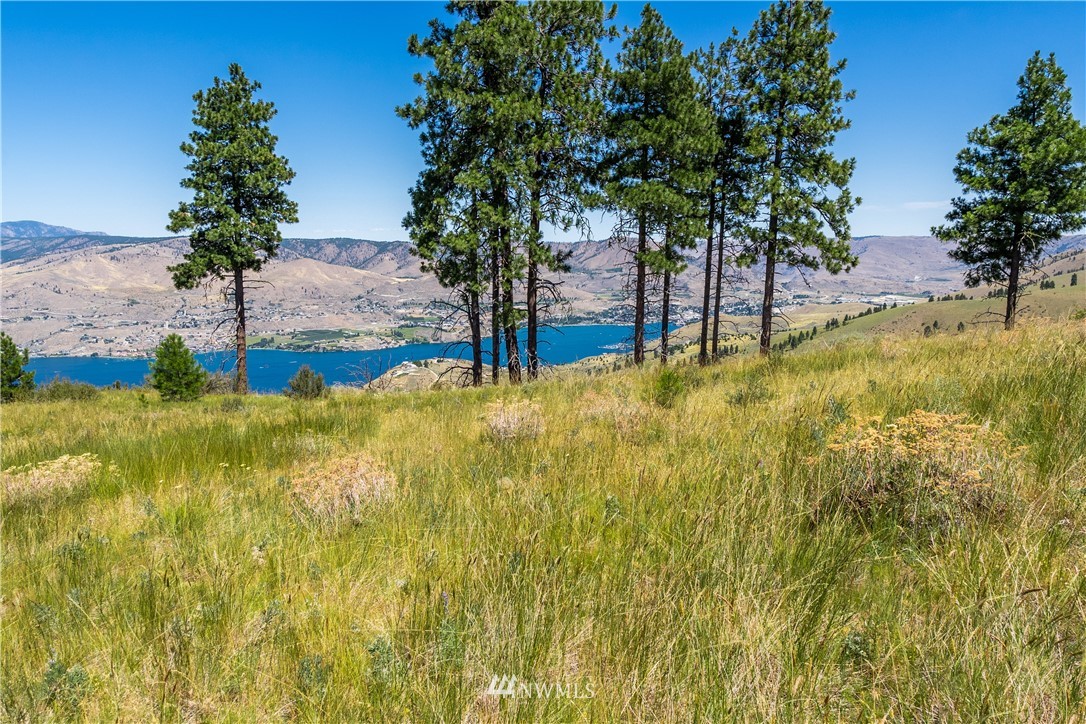 244 Hawks Ridge Road Chelan, WA 98816 - Photo 4 of 25 Gallery Image 4