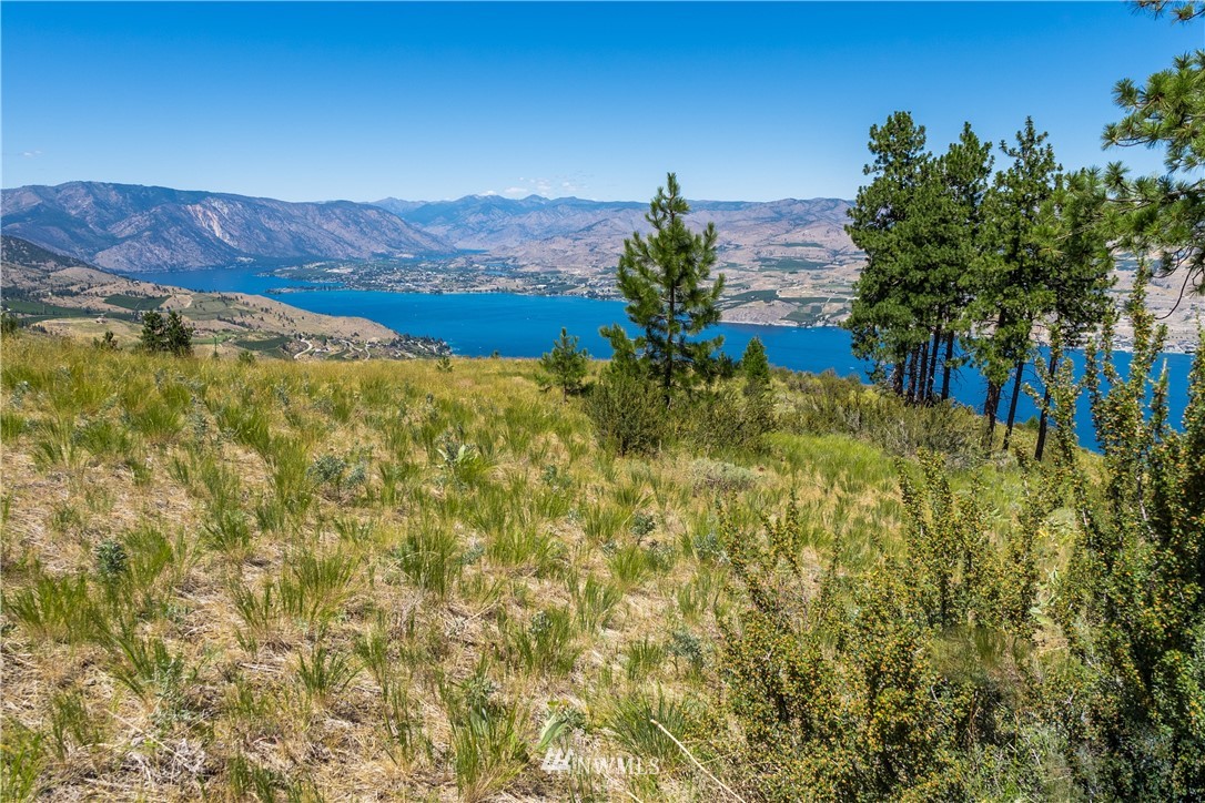 244 Hawks Ridge Road Chelan, WA 98816 - Photo 5 of 25 Gallery Image 5