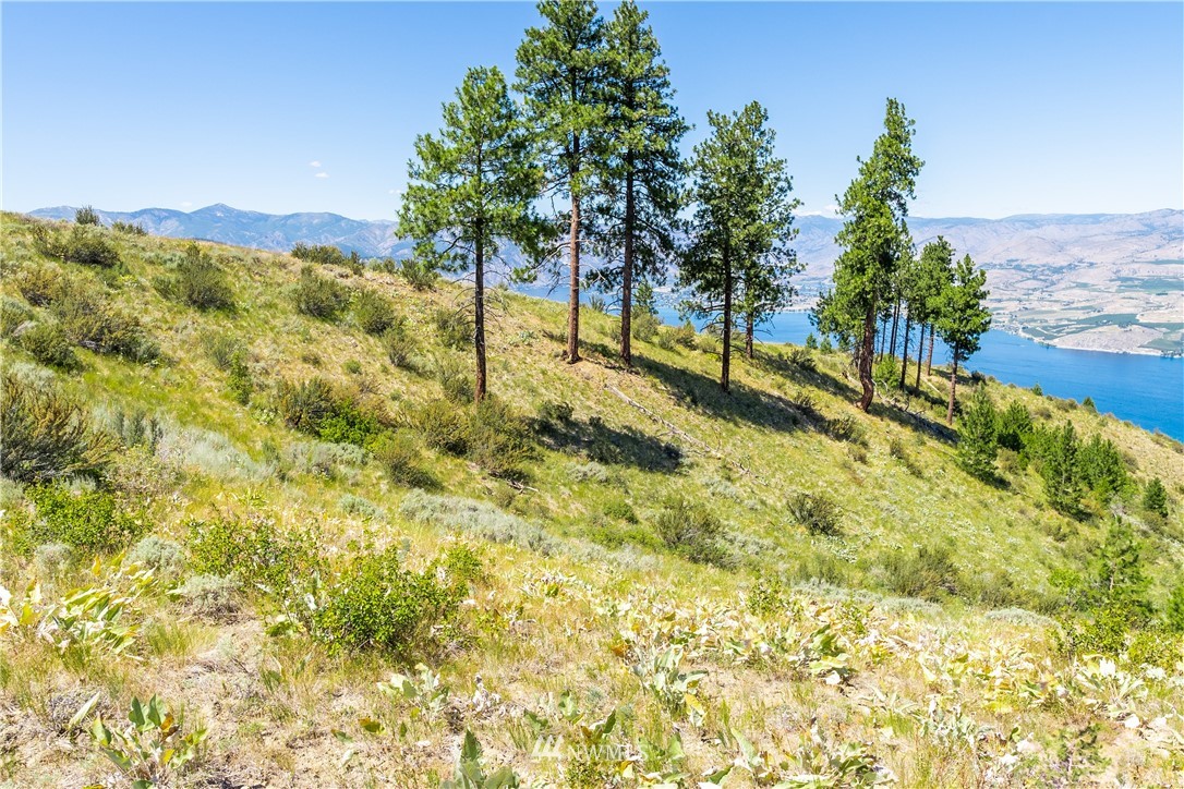 244 Hawks Ridge Road Chelan, WA 98816 - Photo 6 of 25 Gallery Image 6