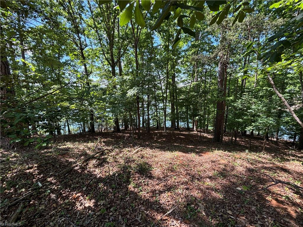 145 Beacon Ridge Drive Stony Point, NC 28678 - Photo 7 of 14 Gallery Image 7