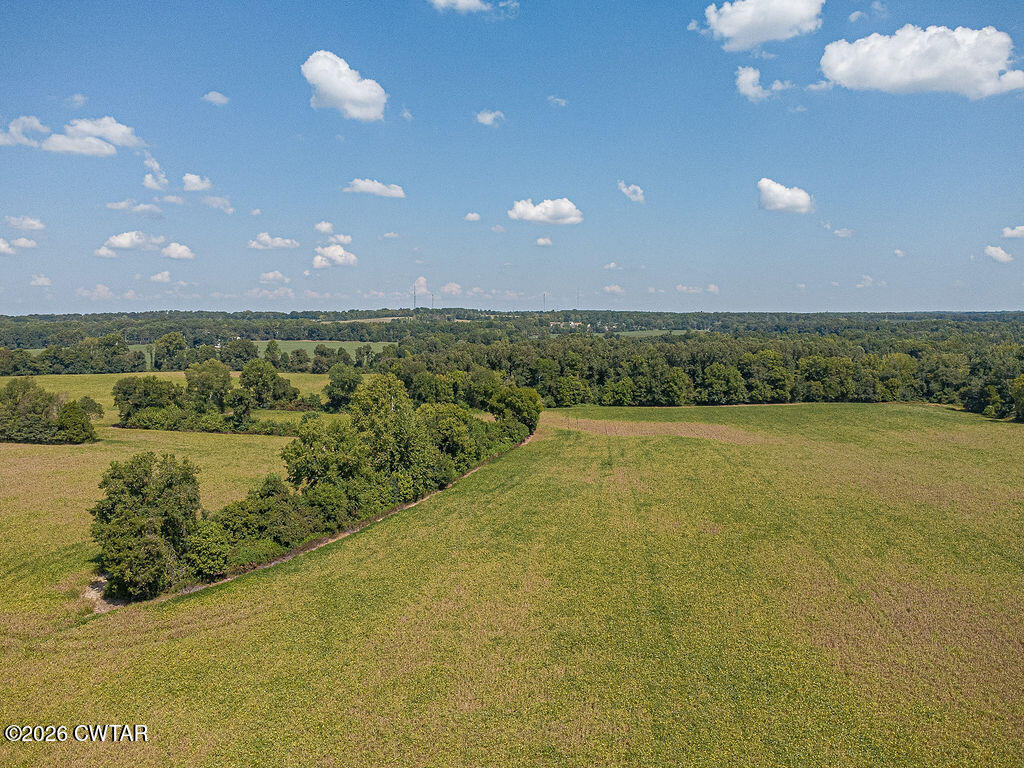 0 Cotton Grove Road Jackson, TN 38301 - Photo 22 of 23 DJI_0665