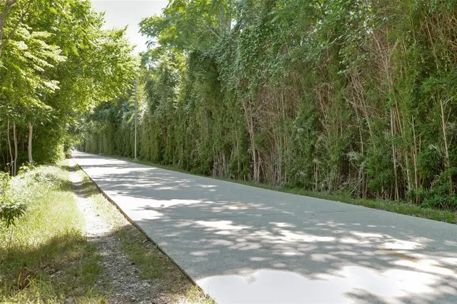 a view of a yard with plants and trees