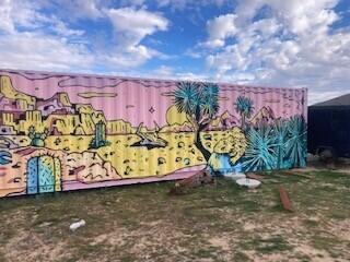60876 Campanula Street Joshua Tree, CA 92252 - Photo 27 of 29 a view of a garden with an outdoor space