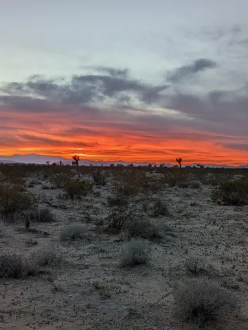 $75,000 | 60876 Campanula Street, Joshua Tree, CA 92252