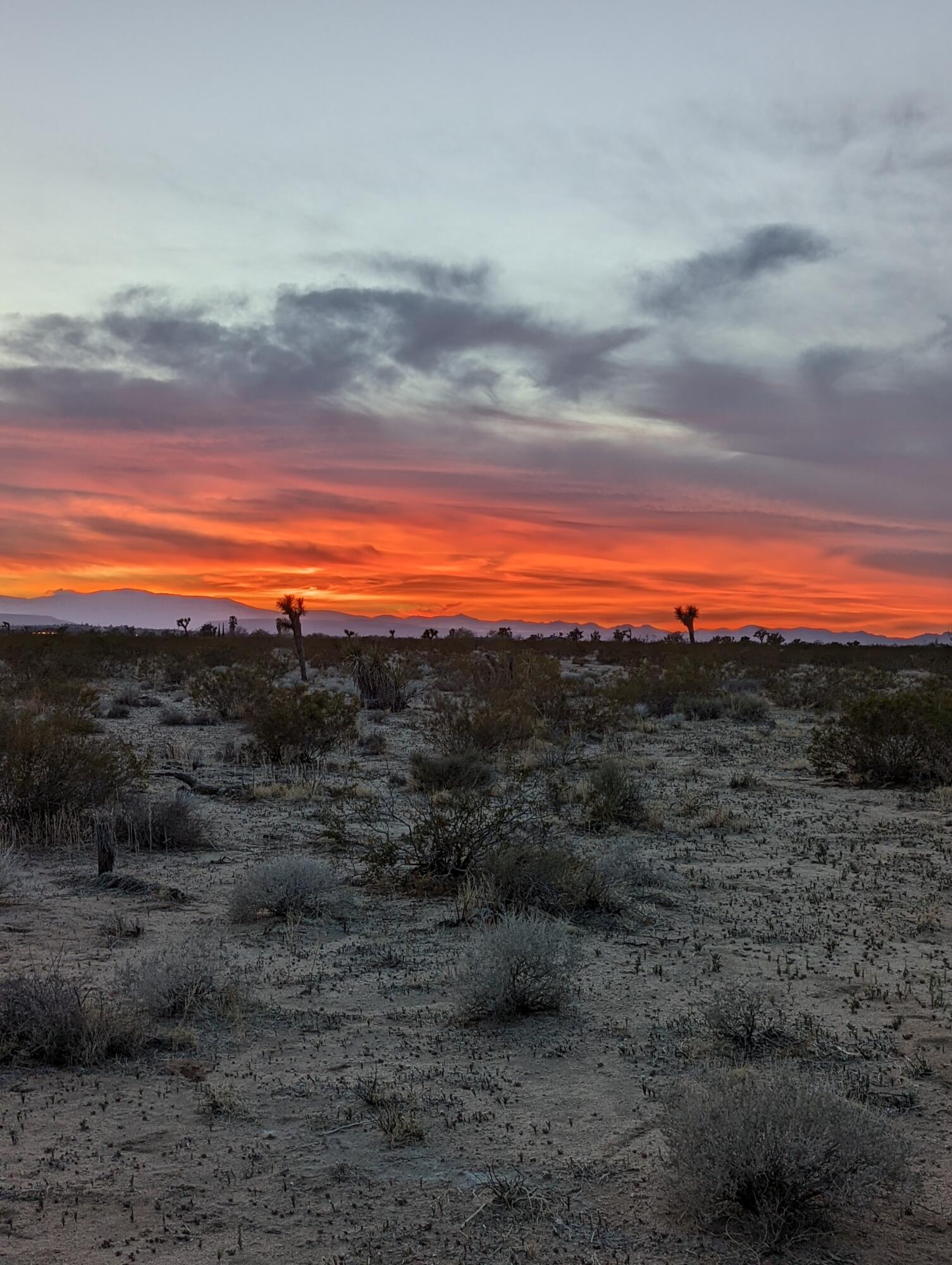 60876 Campanula Street Joshua Tree, CA 92252 - Photo 28 of 29