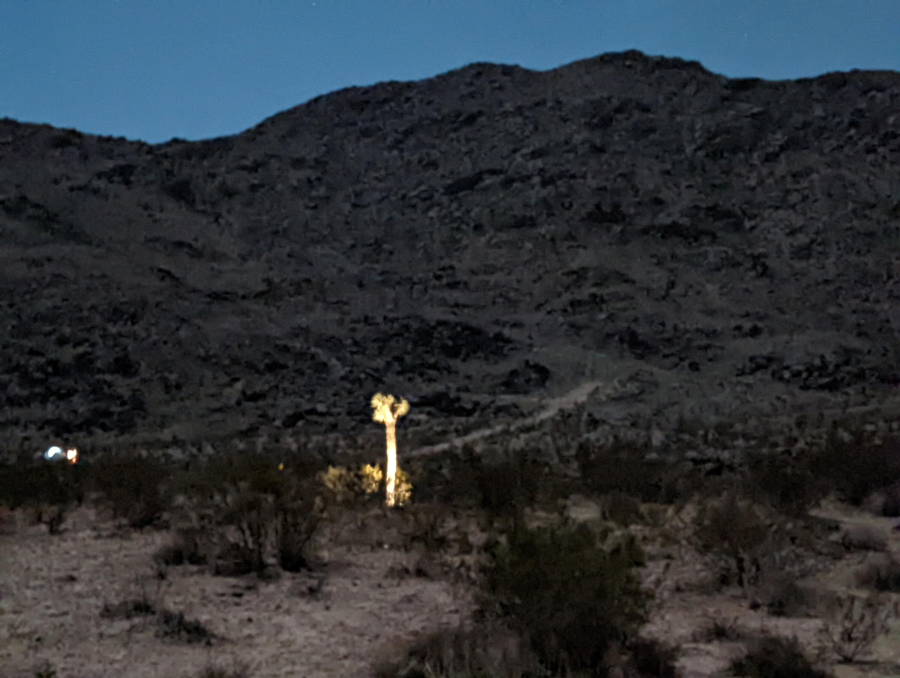 60876 Campanula Street Joshua Tree, CA 92252 - Photo 29 of 29 a view of a house with a yard