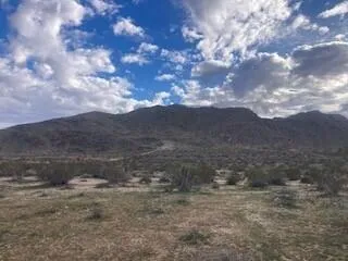 a view of a dry yard with green space