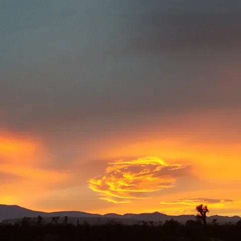 a view of a yard with an outdoor space