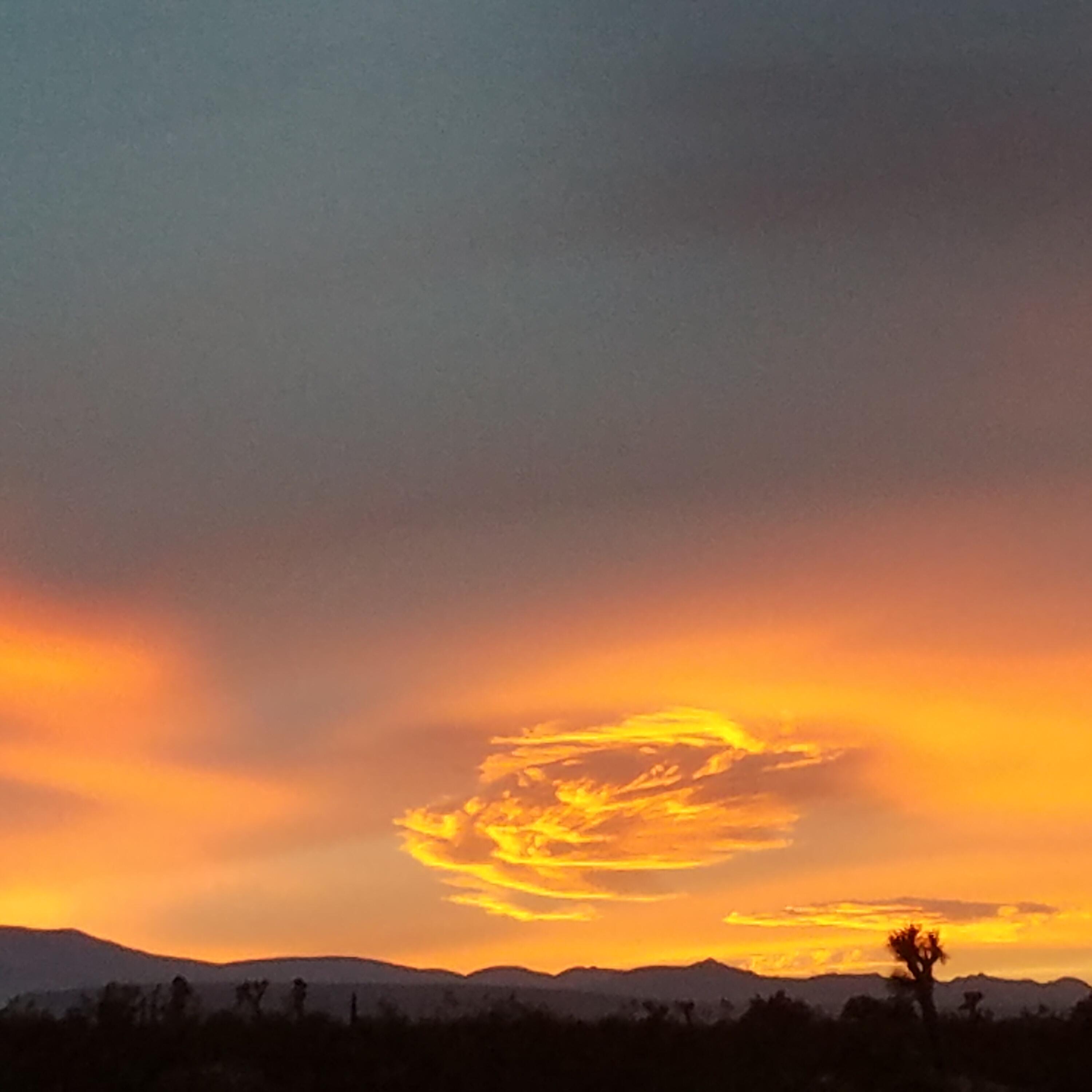 60876 Campanula Street Joshua Tree, CA 92252 - Photo 7 of 29