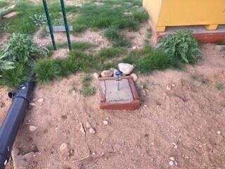 60876 Campanula Street Joshua Tree, CA 92252 - Photo 10 of 29 a view of a yard