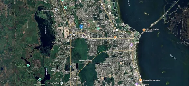 a close up of a plant