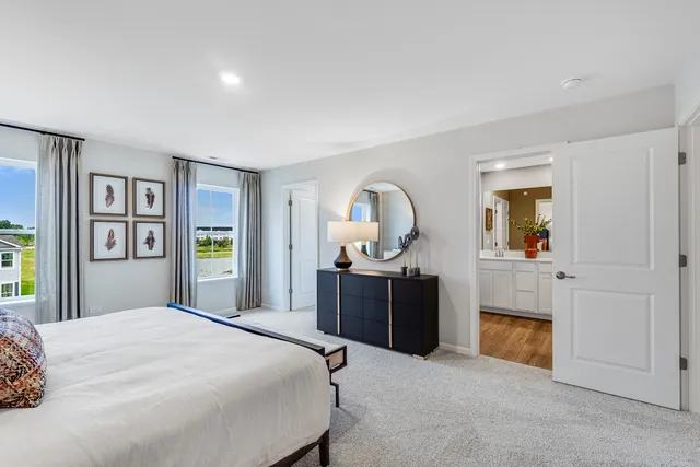 a bedroom with a bed and dresser