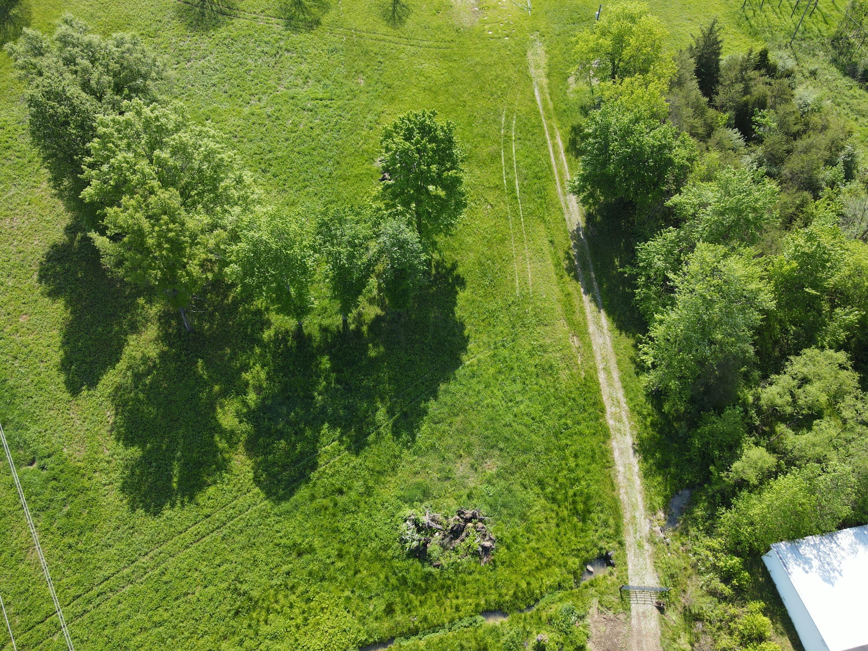 212 Clark Chapel Road Bidwell, OH 45614 - Photo 9 of 9 8. Aerial5