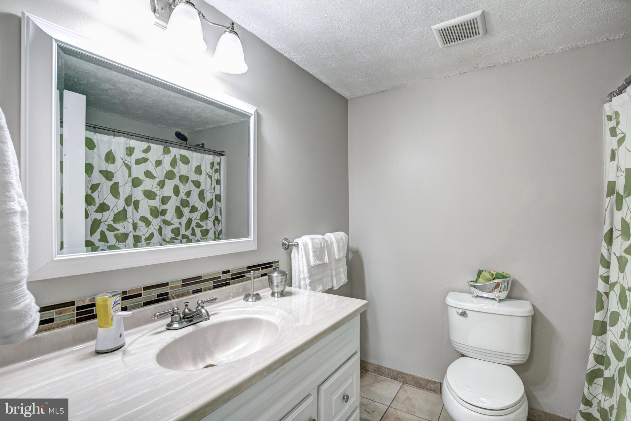 7309 Husky Lane Springfield, VA 22151 - Photo 17 of 28 Bath