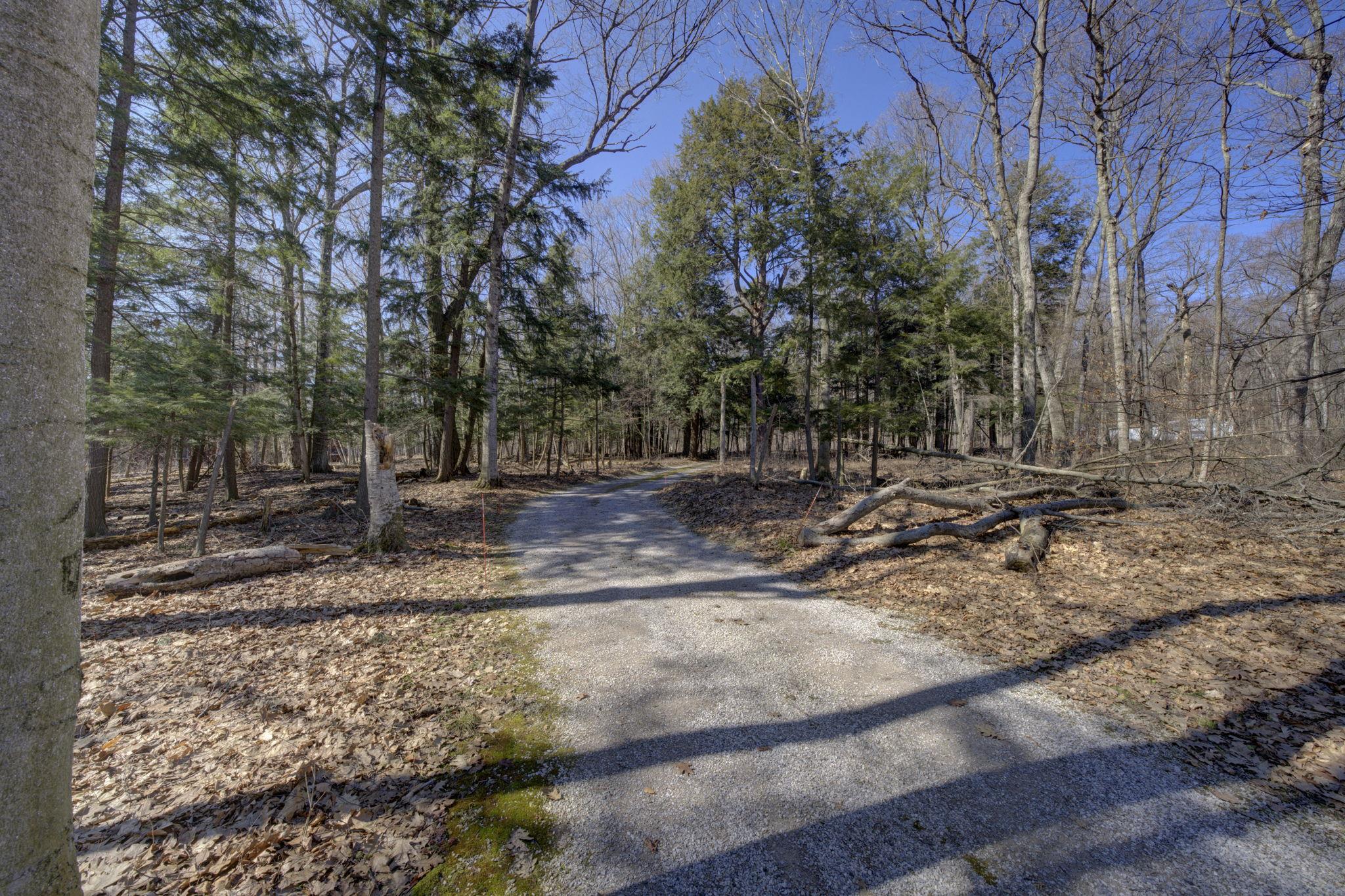 4152 North Omena Point Road Omena, MI 49674 - Photo 38 of 46