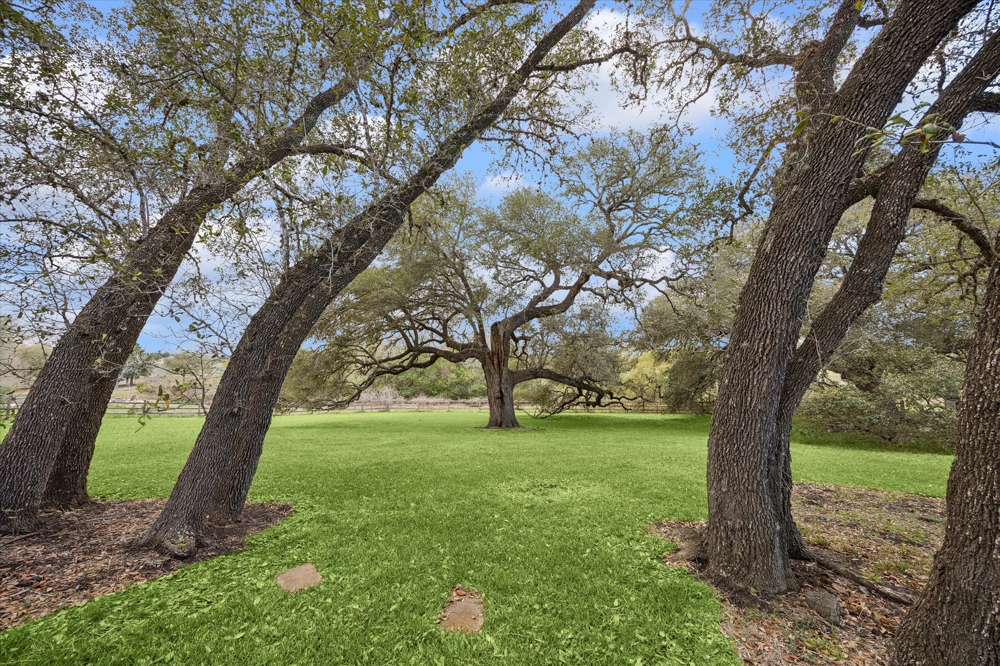 207 Bauer Rummel Round Top, TX 78954 - Photo 19 of 21