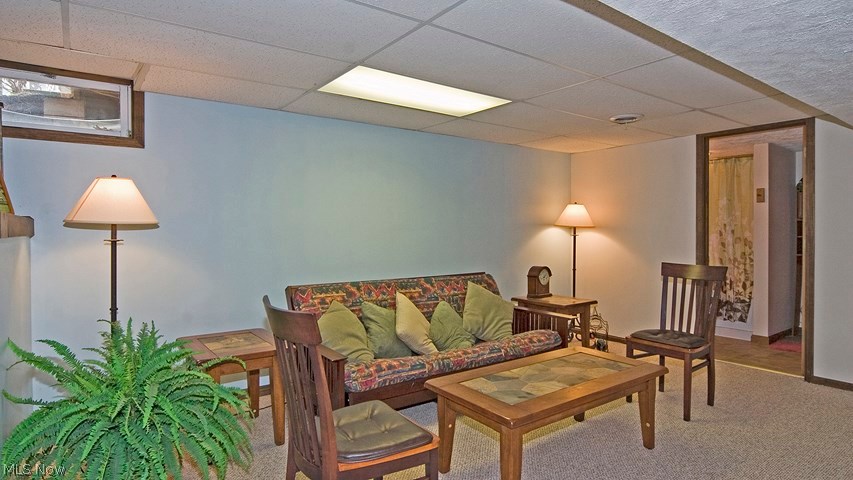 4580 Fenn Road Medina, OH 44256 - Photo 11 of 17 Lower Level Recreation Room & Full Bathroom
