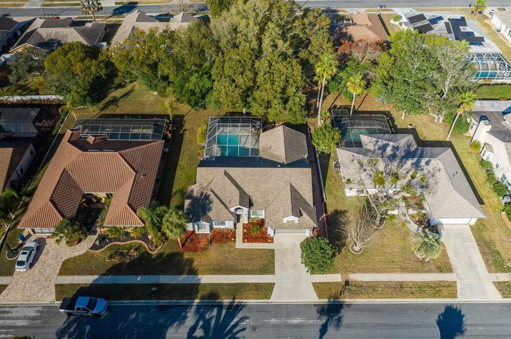 1269 Masada Lane Spring Hill, FL 34608 - Photo 9 of 65