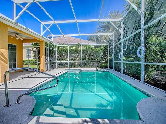 a view of a backyard with plants and large tree