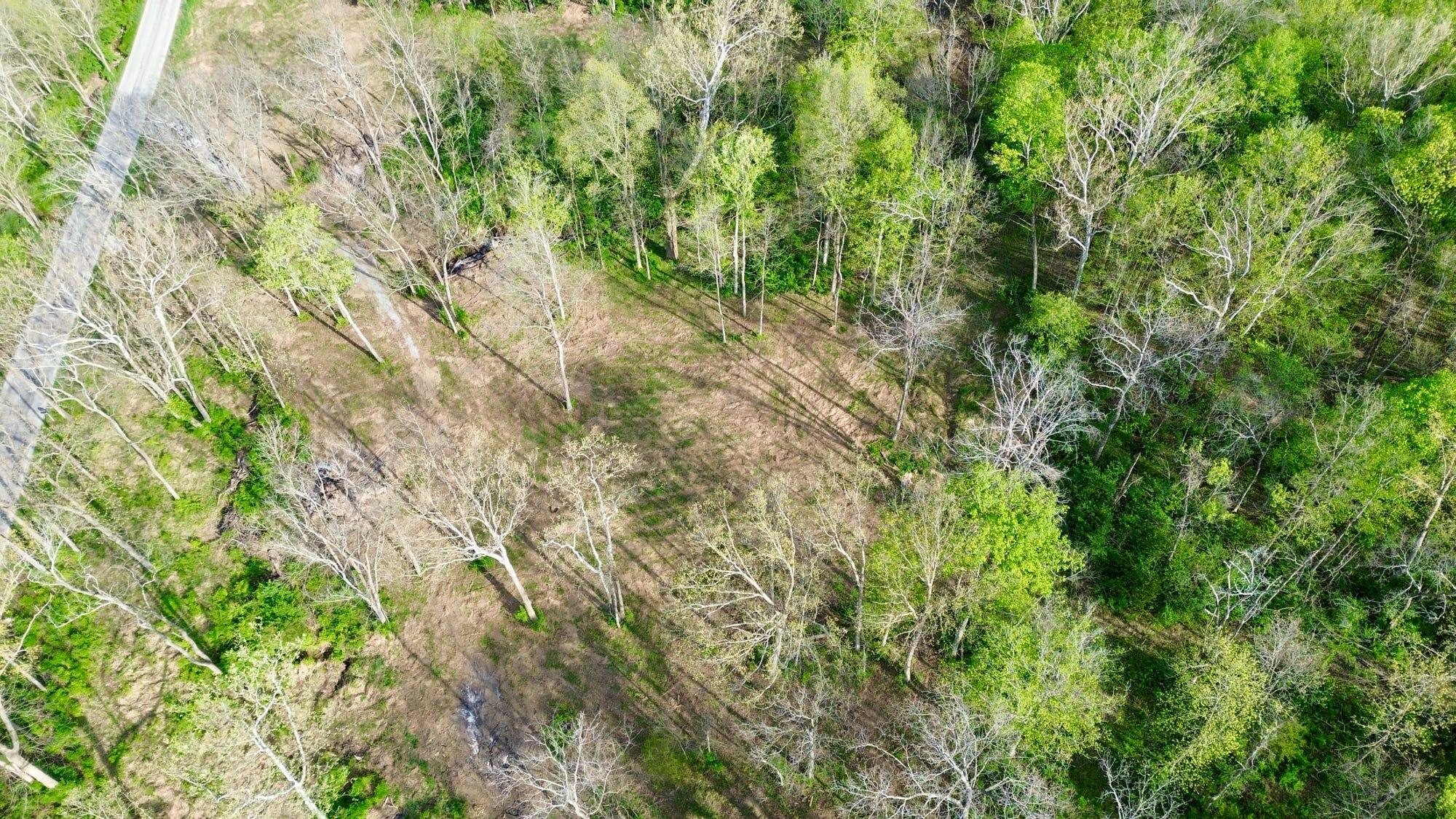 24 East Union Road Carlisle, KY 40311 - Photo 27 of 52 Aerial of Property