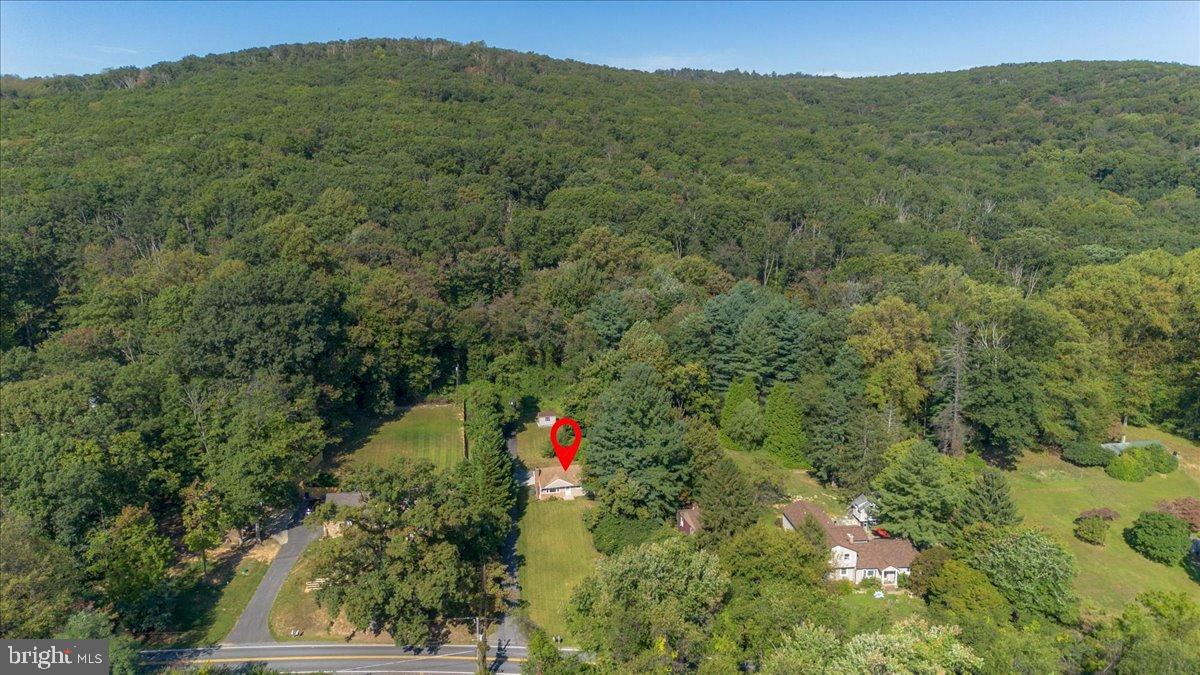 8108 Edgewood Church Road Frederick, MD 21702 - Photo 36 of 37 Serene retreat nestled in lush greenery.