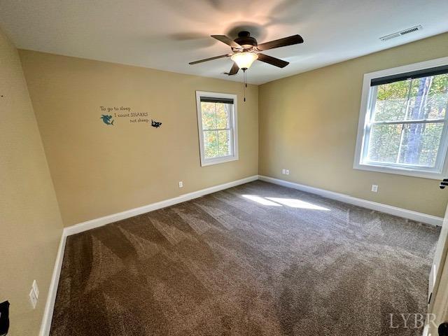 1953 Christian Mill Creek Road Amherst, VA 24521 - Photo 23 of 34 Gallery Image 23