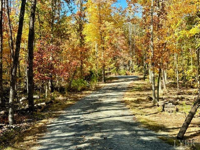 1953 Christian Mill Creek Road Amherst, VA 24521 - Photo 4 of 34 Gallery Image 4