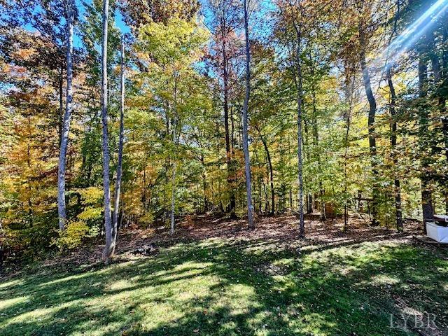1953 Christian Mill Creek Road Amherst, VA 24521 - Photo 5 of 34 Gallery Image 5