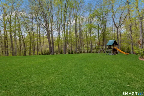 a view of a park with large trees