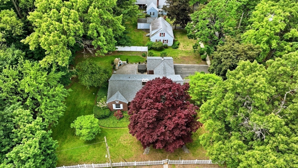 130 Connecticut Avenue Springfield, MA 01107 - Photo 11 of 40 a view of a garden with plants