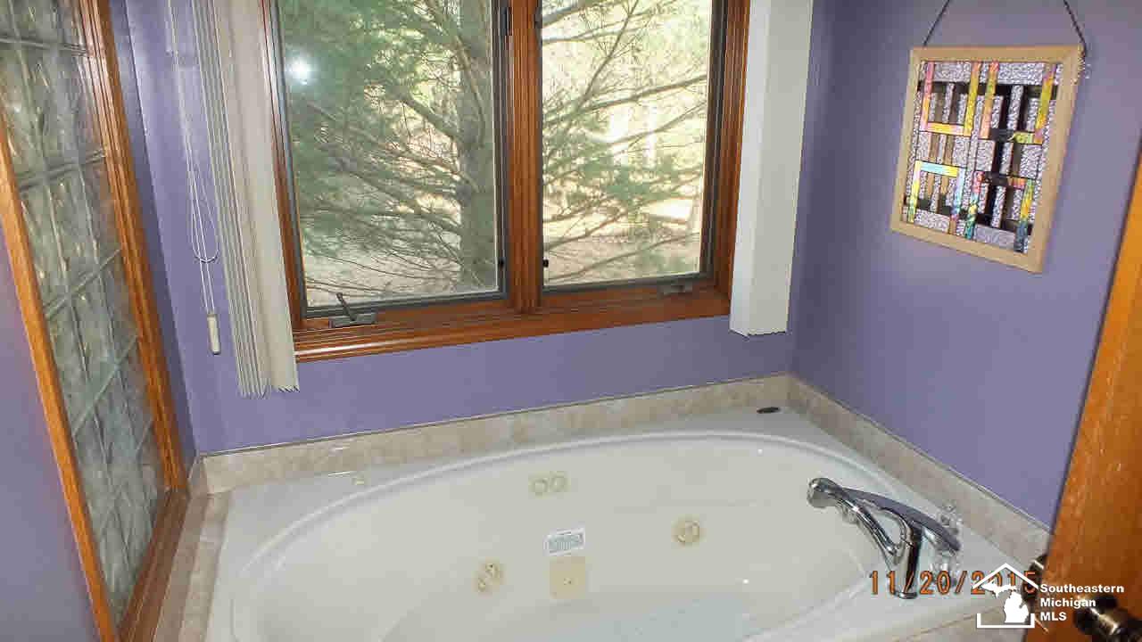 8725 Summerfield Road Lambertville, MI 48144 - Photo 16 of 23 Whirlpool in Bath bath
