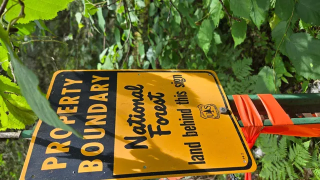 $369,000 | 163 Rollick Creek, Crane Lake, MN 55725