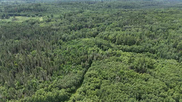 $369,000 | 163 Rollick Creek, Crane Lake, MN 55725