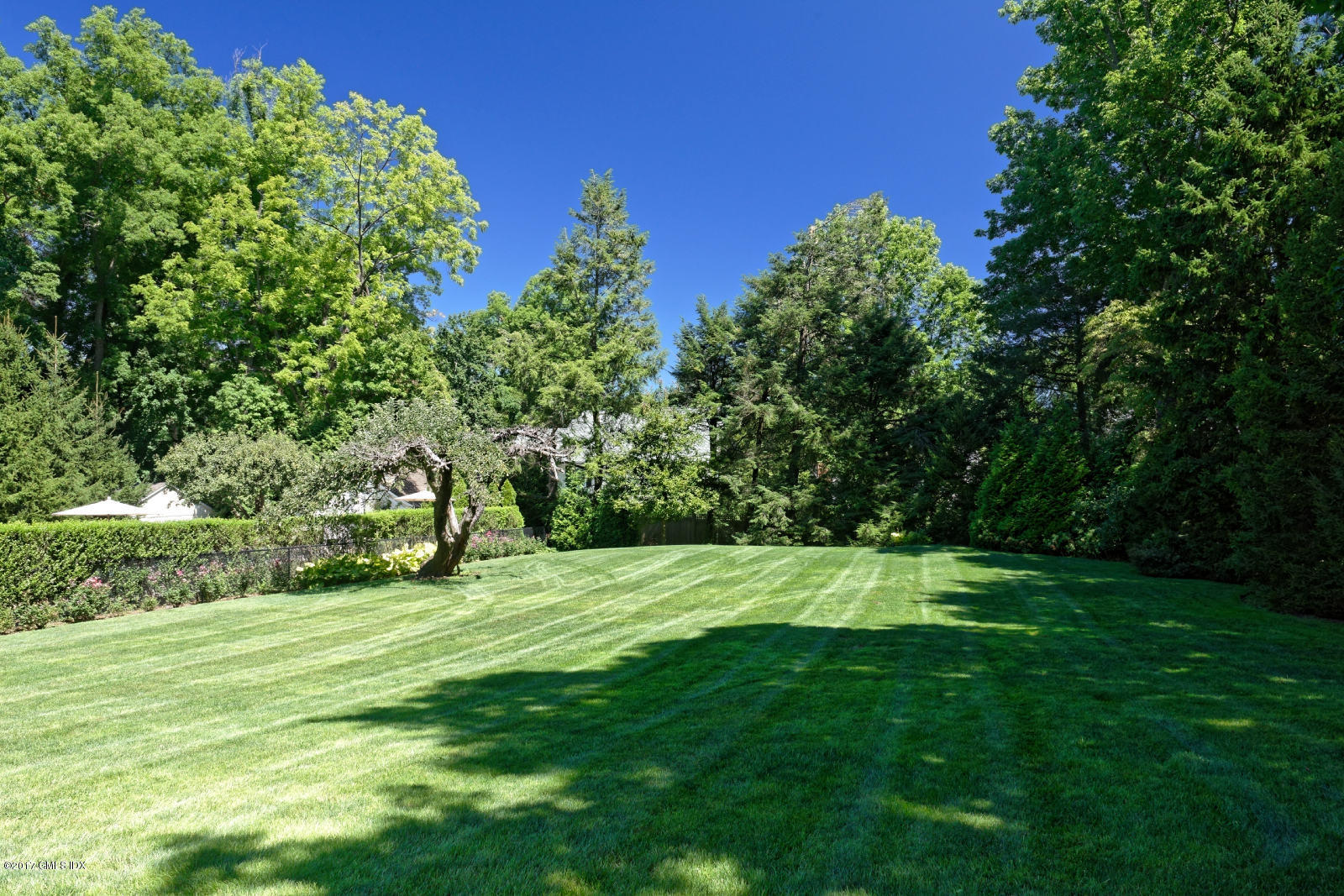171 North Maple Avenue Greenwich, CT 06830 - Photo 15 of 16 a view of a grassy field with trees
