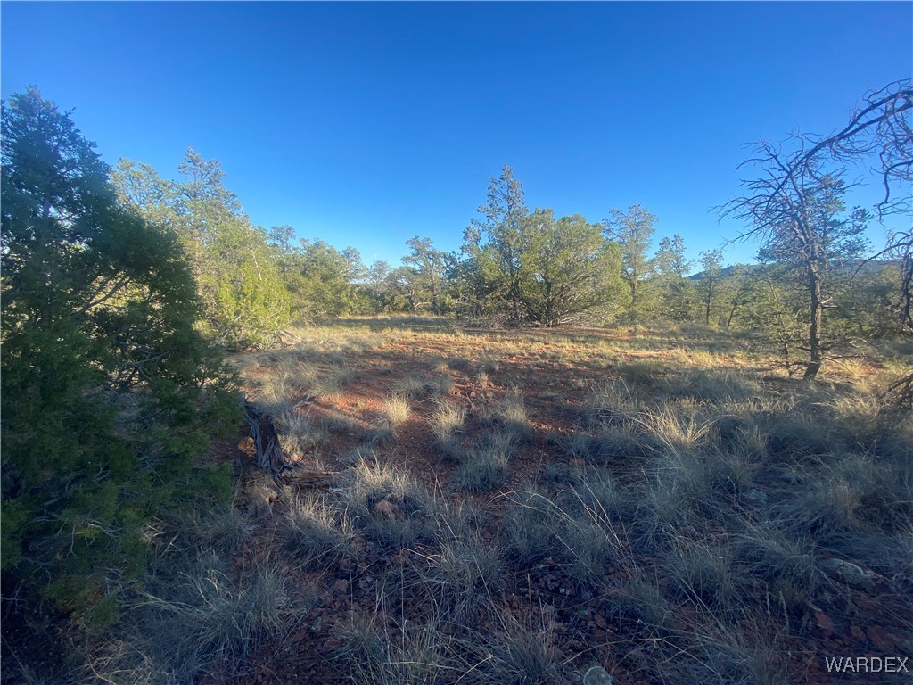 34440 El Capitan Road Seligman, AZ 86337 - Photo 1 of 29 Other