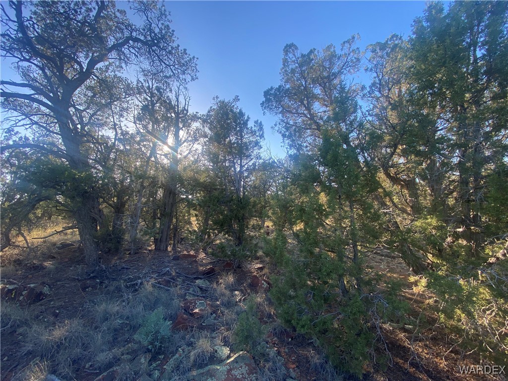 34440 El Capitan Road Seligman, AZ 86337 - Photo 11 of 29 Other