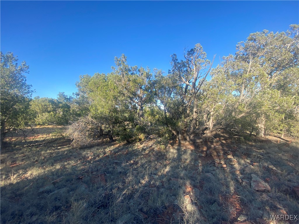 34440 El Capitan Road Seligman, AZ 86337 - Photo 12 of 29 Other