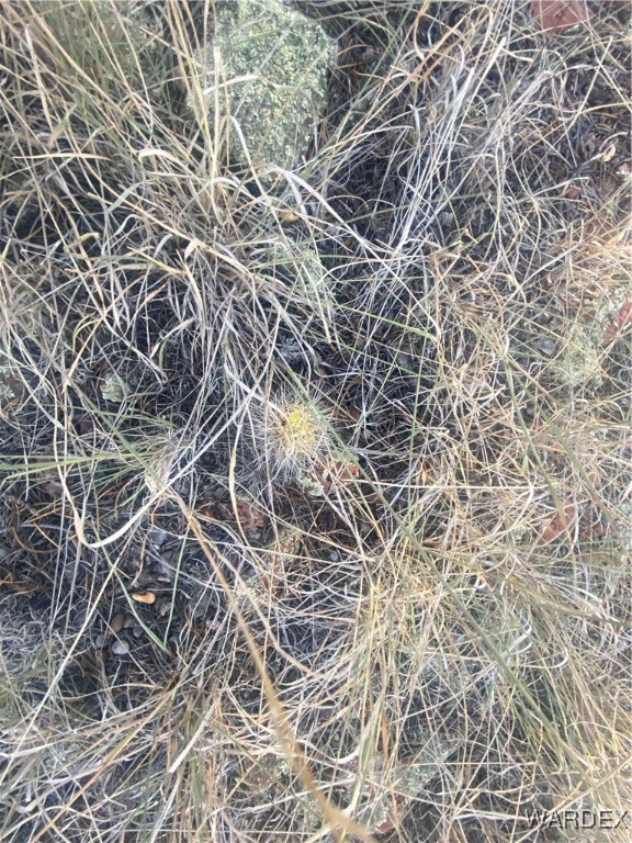 34440 El Capitan Road Seligman, AZ 86337 - Photo 13 of 29 Other