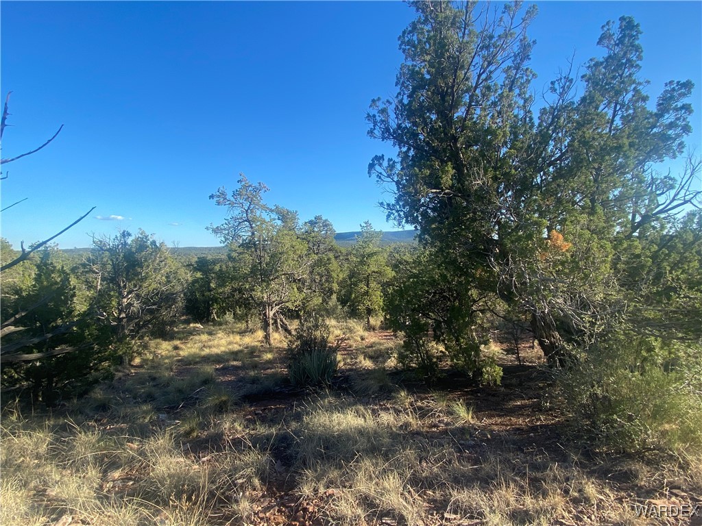 34440 El Capitan Road Seligman, AZ 86337 - Photo 14 of 29 Other