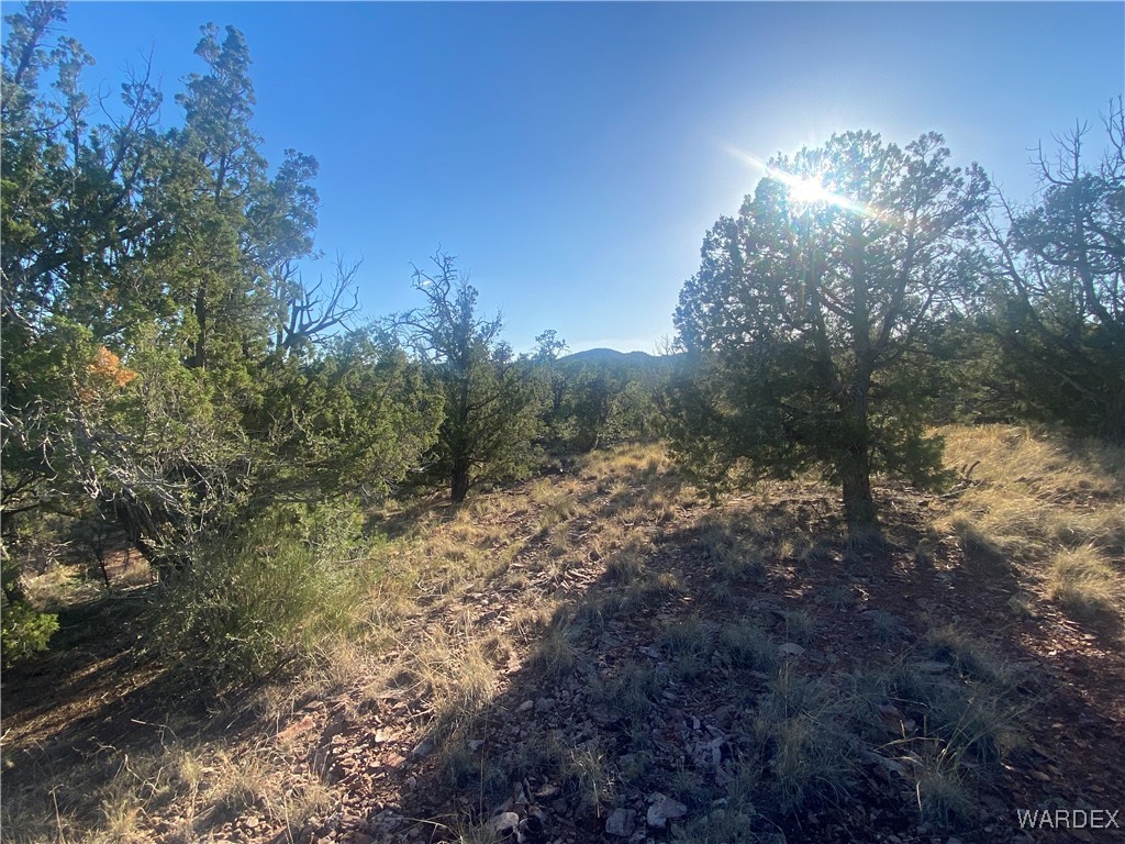 34440 El Capitan Road Seligman, AZ 86337 - Photo 15 of 29 Other