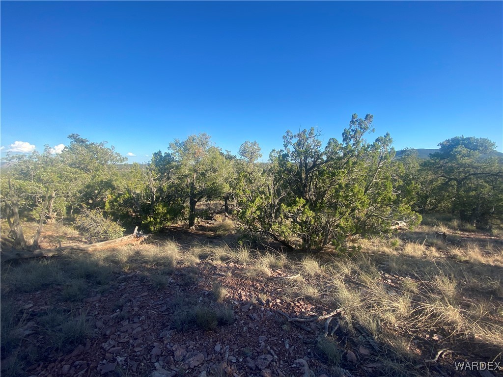 34440 El Capitan Road Seligman, AZ 86337 - Photo 16 of 29 Other