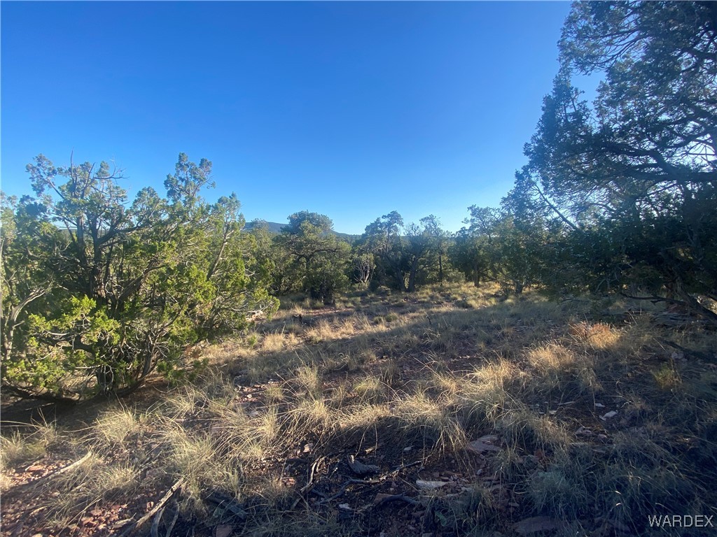 34440 El Capitan Road Seligman, AZ 86337 - Photo 17 of 29 Other