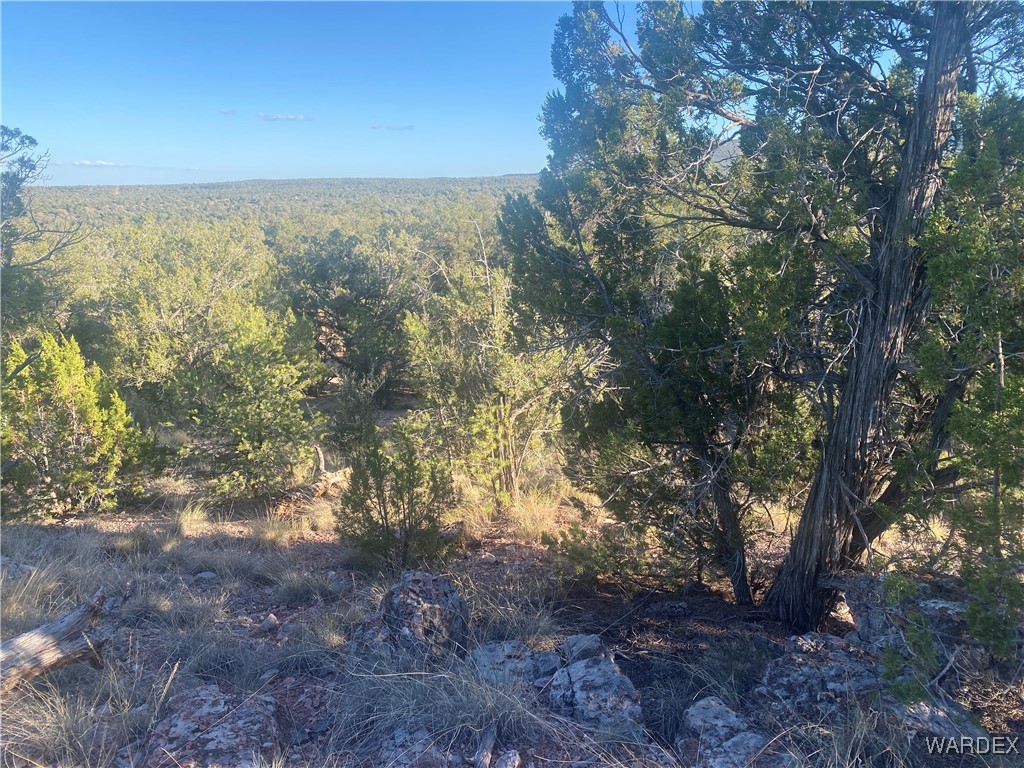 34440 El Capitan Road Seligman, AZ 86337 - Photo 18 of 29 Other